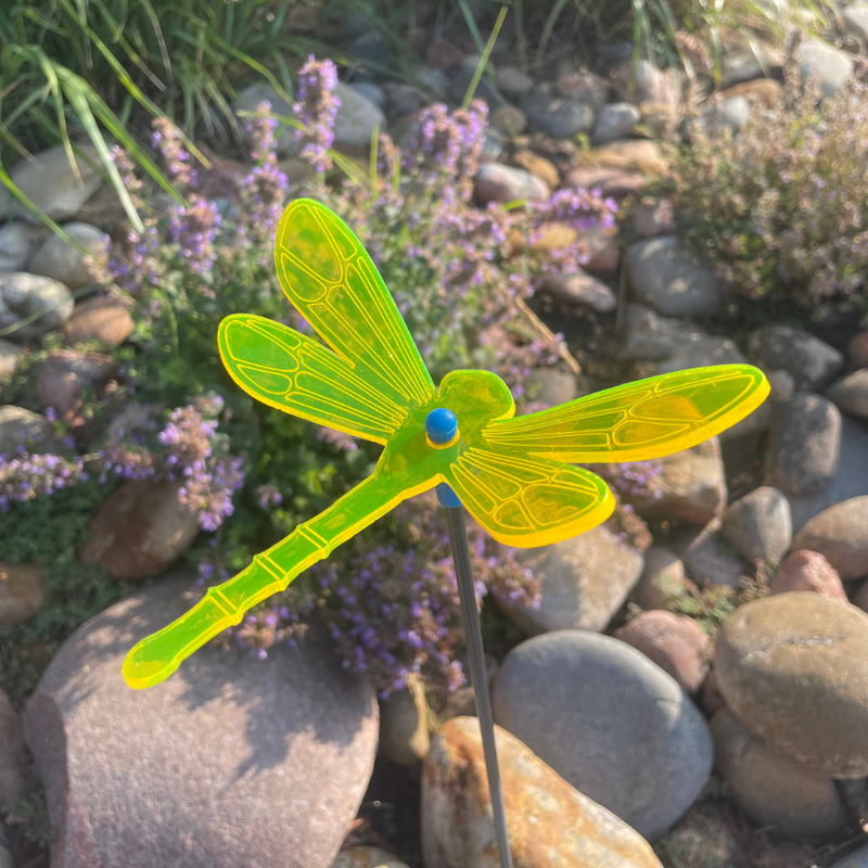 Garden Dragon Fly | Medium 6" | Multiple Colors