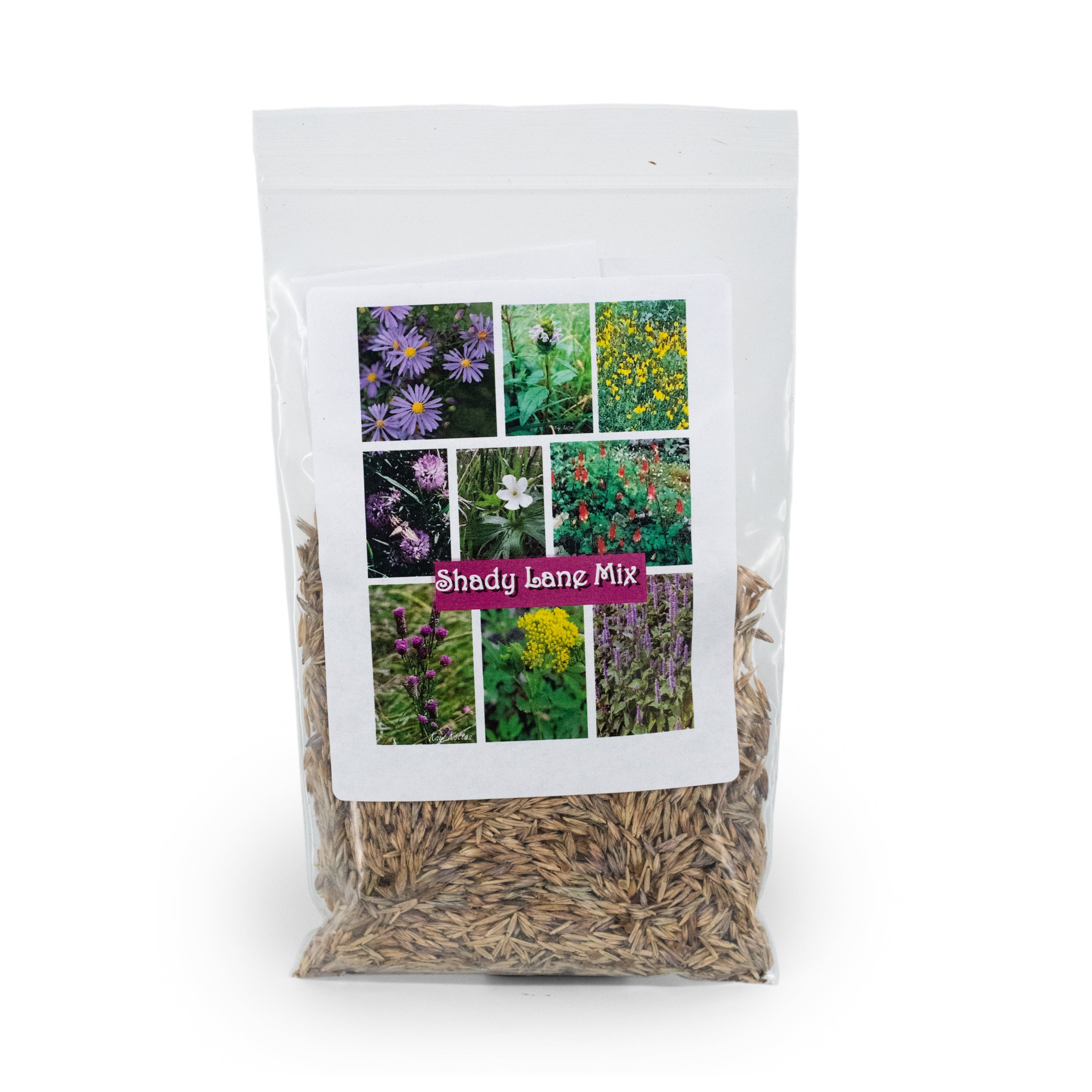 Shady Lane Native Wildflower Seed Mix | 2.88 oz | Prairie Legacy