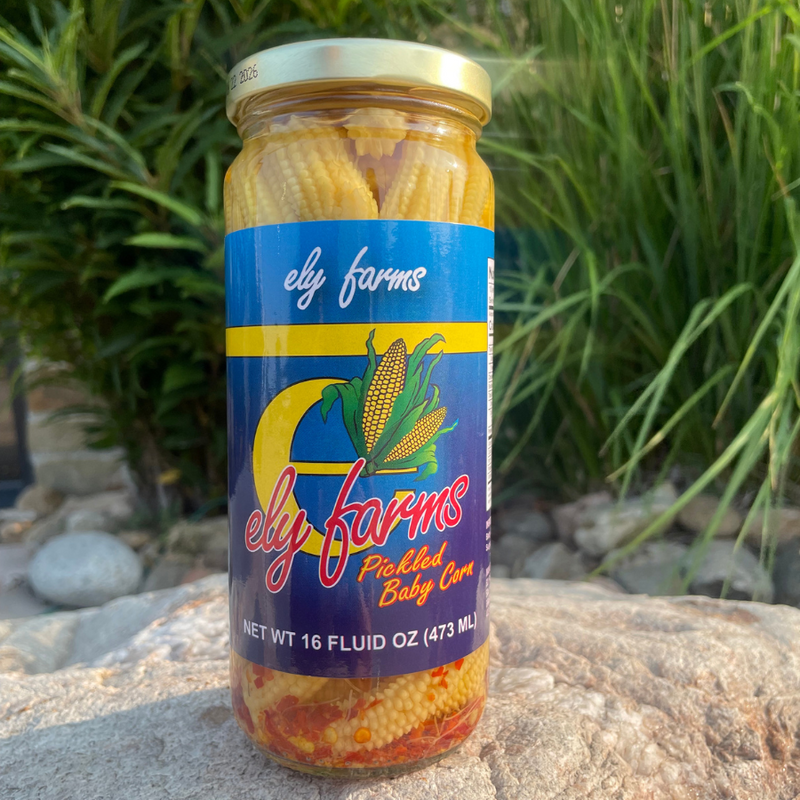 Pickled Baby Corn | Sweet and Spicy | Zesty Pickle Flavor | Made in USA | Perfect for Bloody Mary&