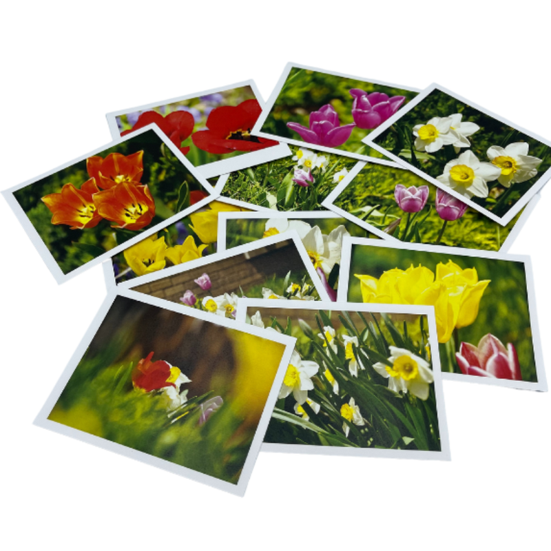 Variety Of Flower Greeting Cards Strewn On A Clear Background
