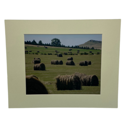 Hay Bales In A Field Of Green With Grass, Trees, And Hills With A Cream Border