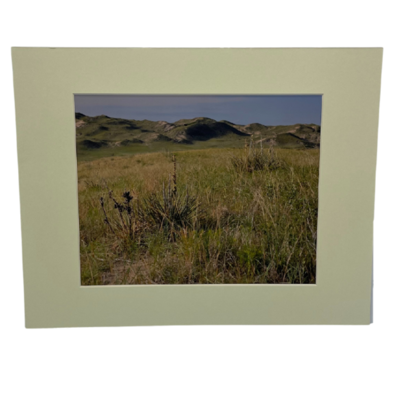 Image Of The Sandhills In Snake River Valley With A Cream Border