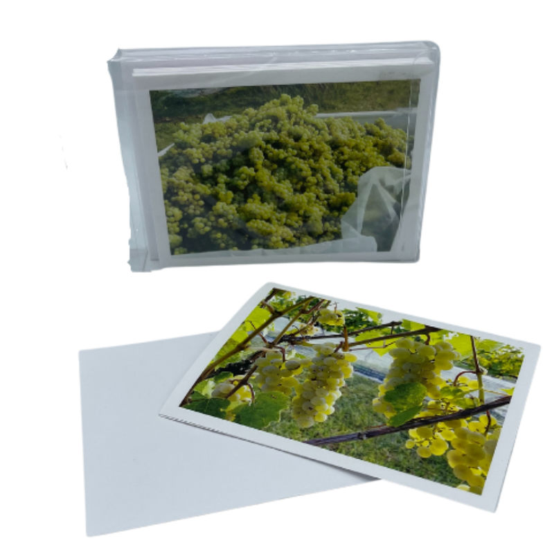 Green Grapes On A White Greeting Card With An Envelope Laying Beside It