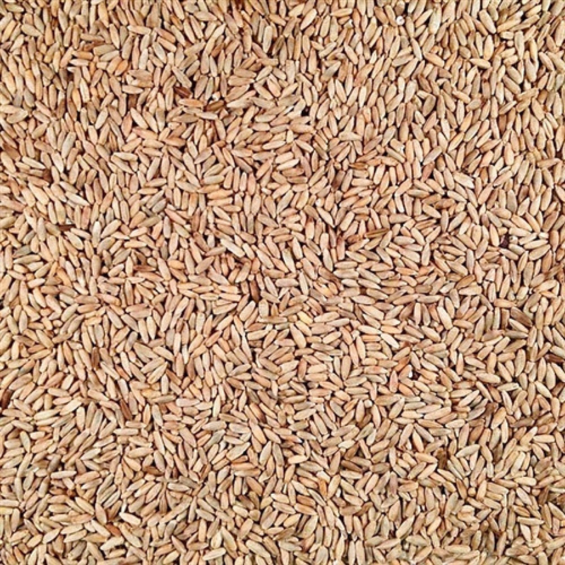 Rye | 25 lb. Bag | Shipping Included | Hearty Flavor | Organic | Great Base For Stir-Fry | Delicious Addition To Casseroles, Soups, And Breads