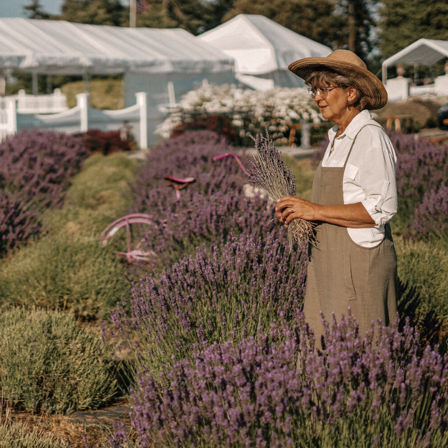 Our Lavender Co