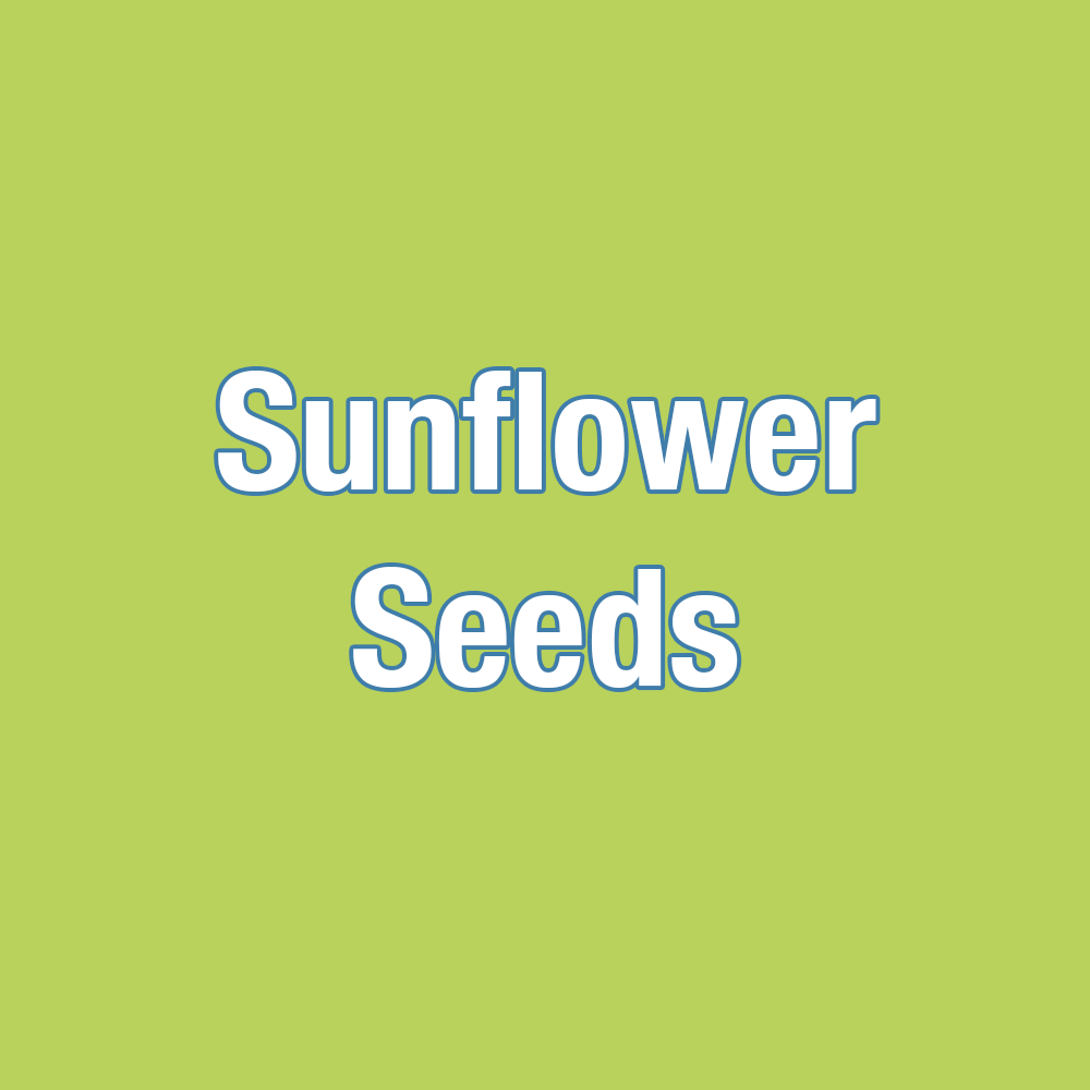Sunflower Seeds