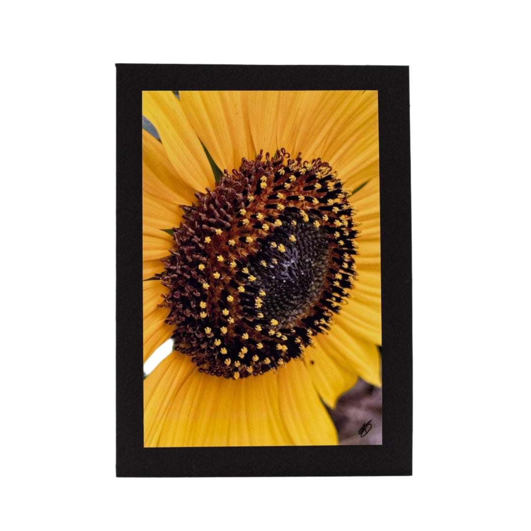 Black Greeting Card | Blank | Beautiful Photograph Cover | KJ Made | Made in Gibbon, NE