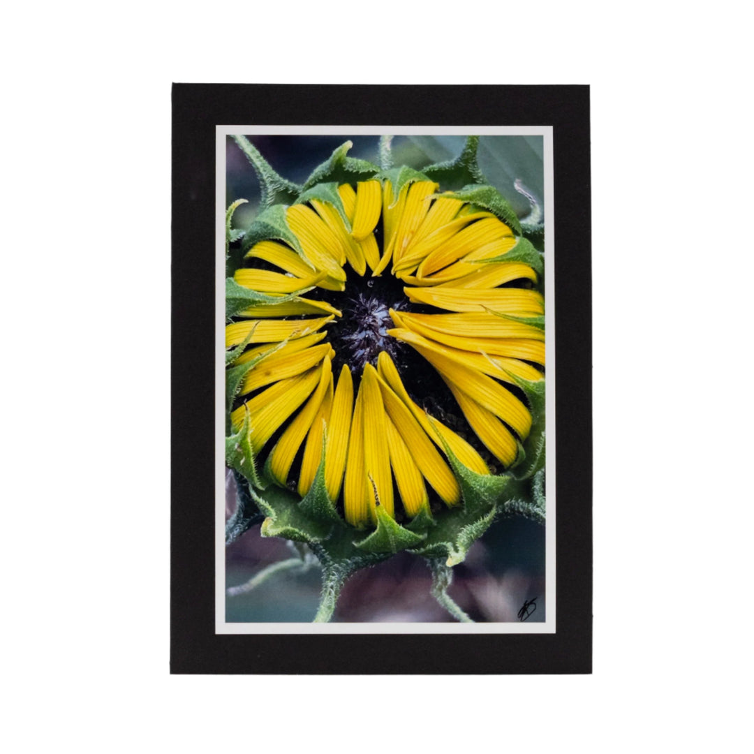 Black Greeting Card | Blank | Beautiful Photograph Cover | KJ Made | Made in Gibbon, NE