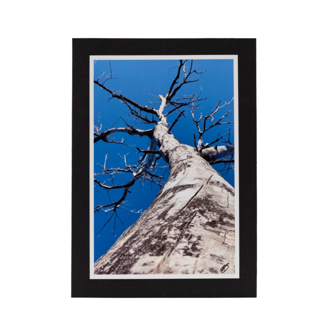 Black Greeting Card | Blank | Beautiful Photograph Cover | KJ Made | Made in Gibbon, NE