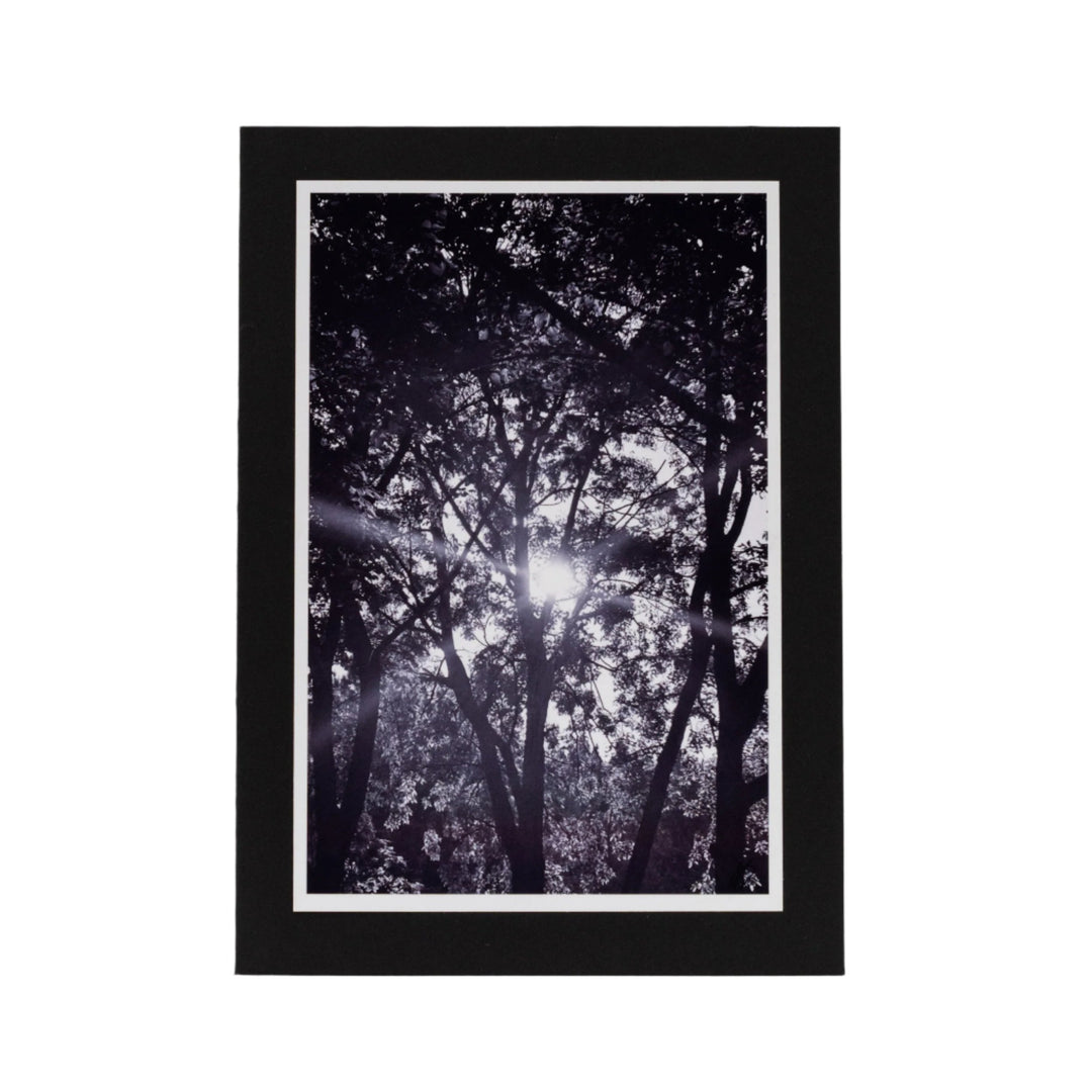 Black Greeting Card | Blank | Beautiful Photograph Cover | KJ Made | Made in Gibbon, NE