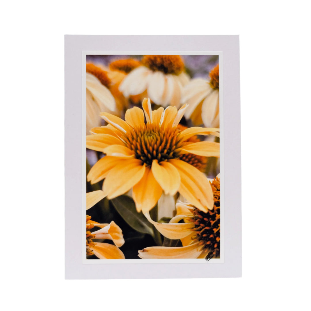 White Greeting Card | Blank | Remarkable Photograph Cover | KJ Made | Made in Gibbon, NE