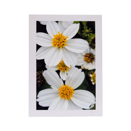 White Greeting Card | Blank | Remarkable Photograph Cover | KJ Made | Made in Gibbon, NE