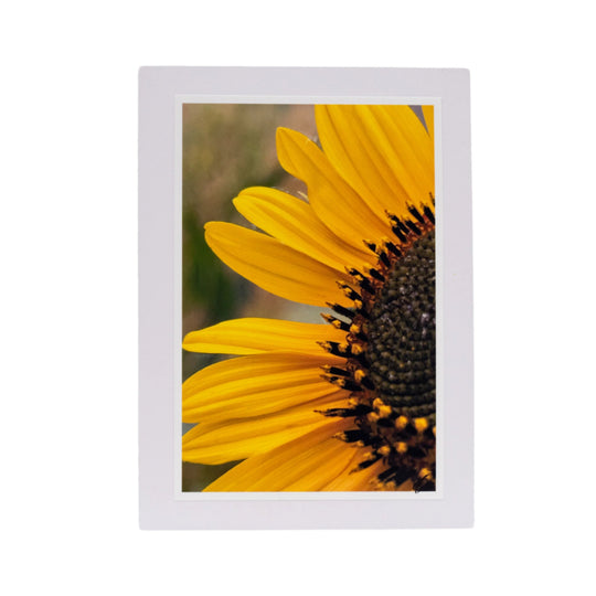 White Greeting Card | Blank | Remarkable Photograph Cover | KJ Made | Made in Gibbon, NE