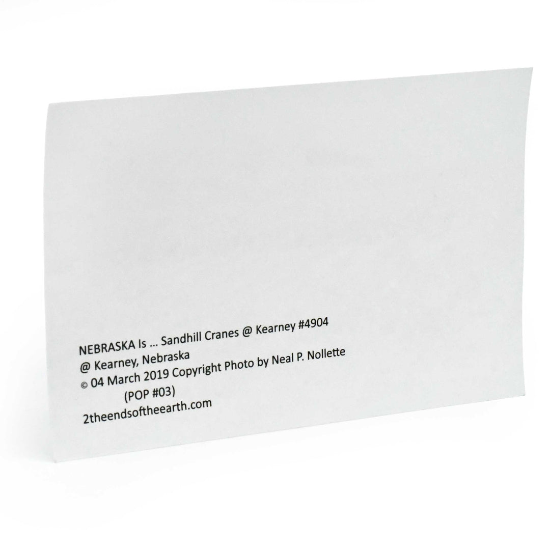 White card with black text on a white background