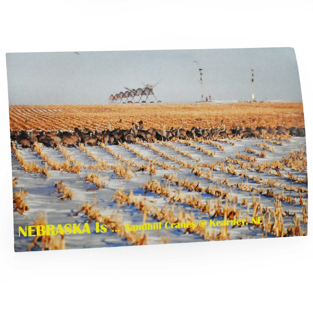 Flock of sandhill cranes in a field with text 'NEBRASKA IS... Sandhill Cranes @ Kearney, NE'.