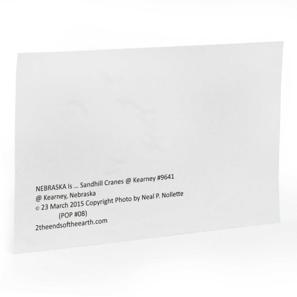 Back of a photograph with text and copyright information on a white background