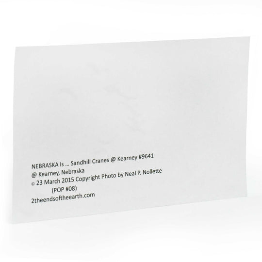 Back of a photograph with text and copyright information on a white background