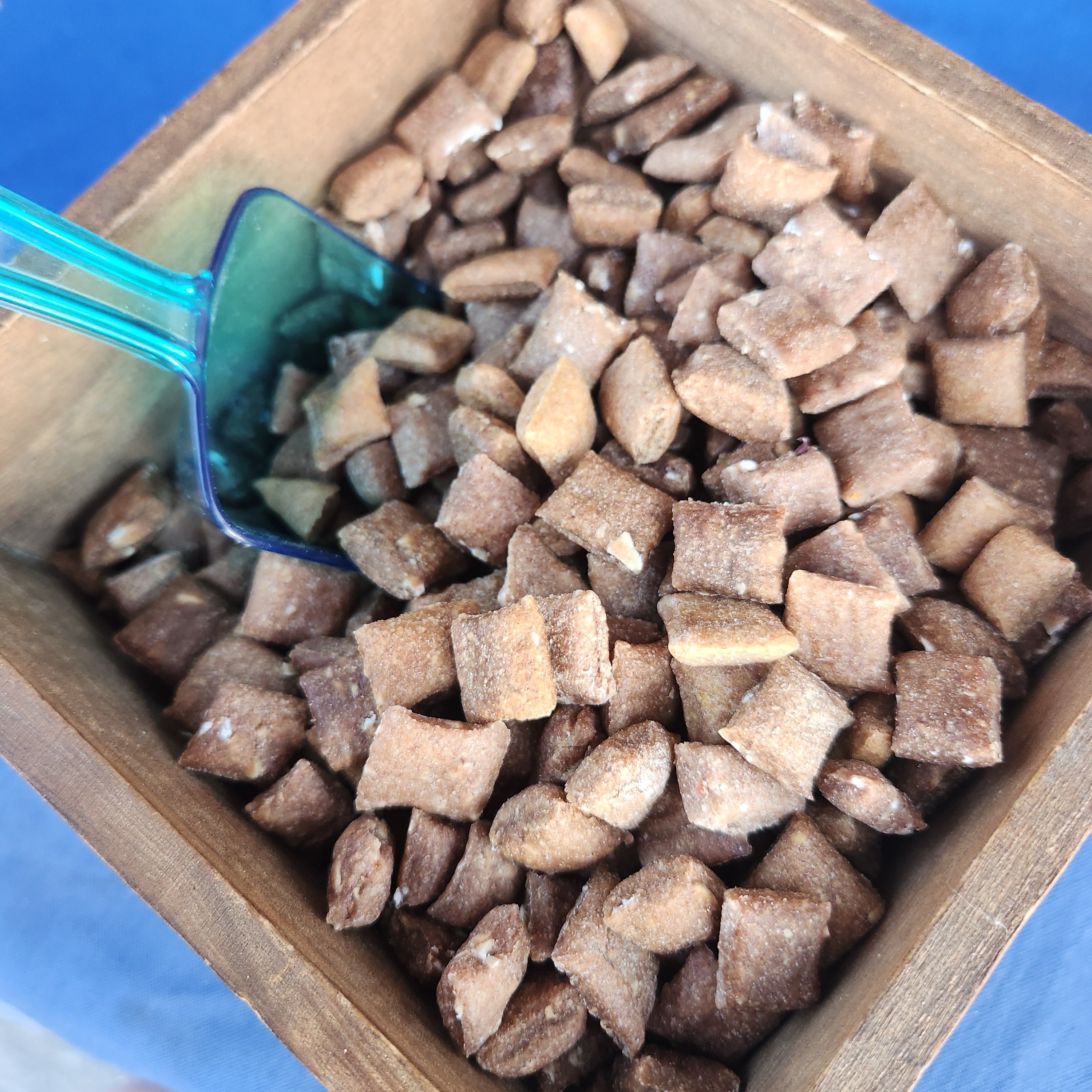 Wooden box filled with brown pet food cubes and a blue scoop on a blue background