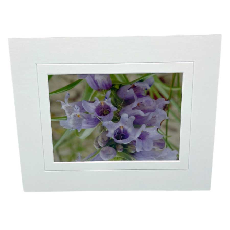 Wild Foxglove Flowers Photograph | 5x7 Framed With Mat | 2 The Ends of the Earth
