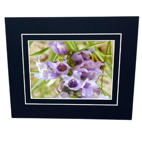 Wild Foxglove Flowers Photograph | 5x7 Framed With Mat | 2 The Ends of the Earth