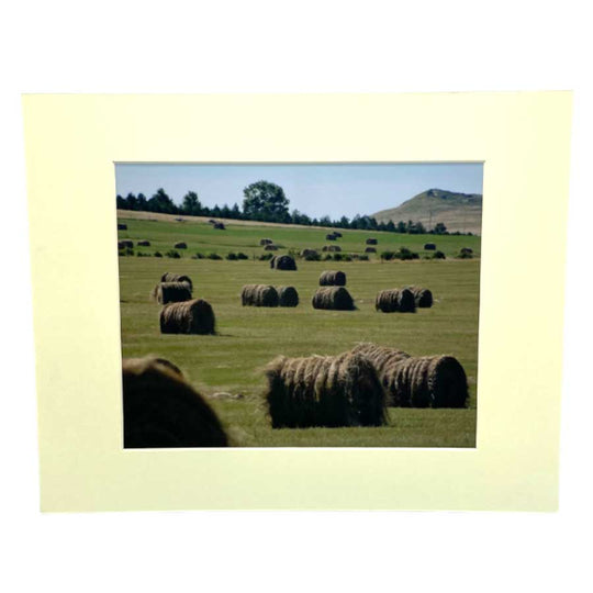 “Summer Harvest” | 8x10 Photograph | 2 The Ends of the Earth