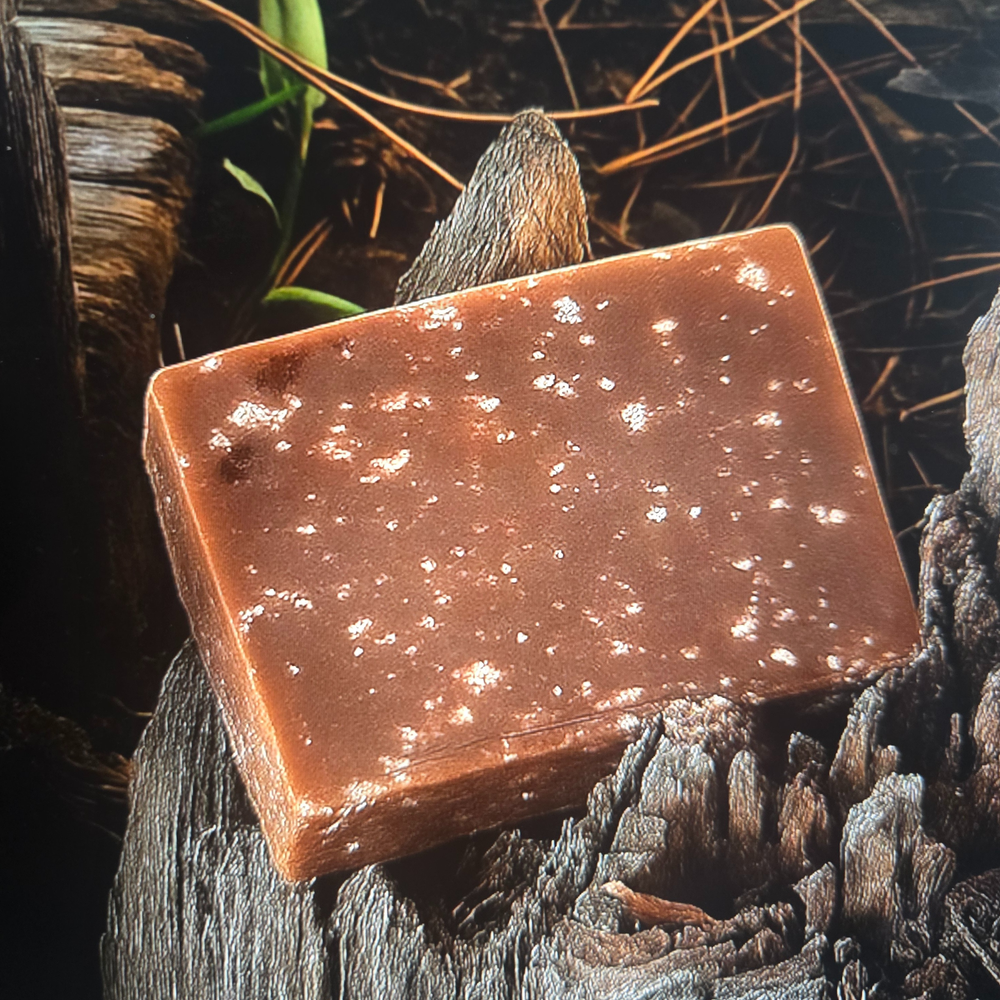 Bar of soap propped up on an old stump