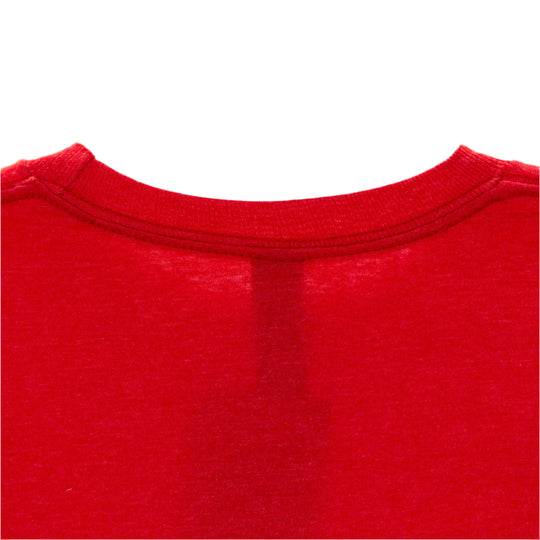 NE Cornhusker State Triangle Est 1867 T-Shirt | Small Town Famous