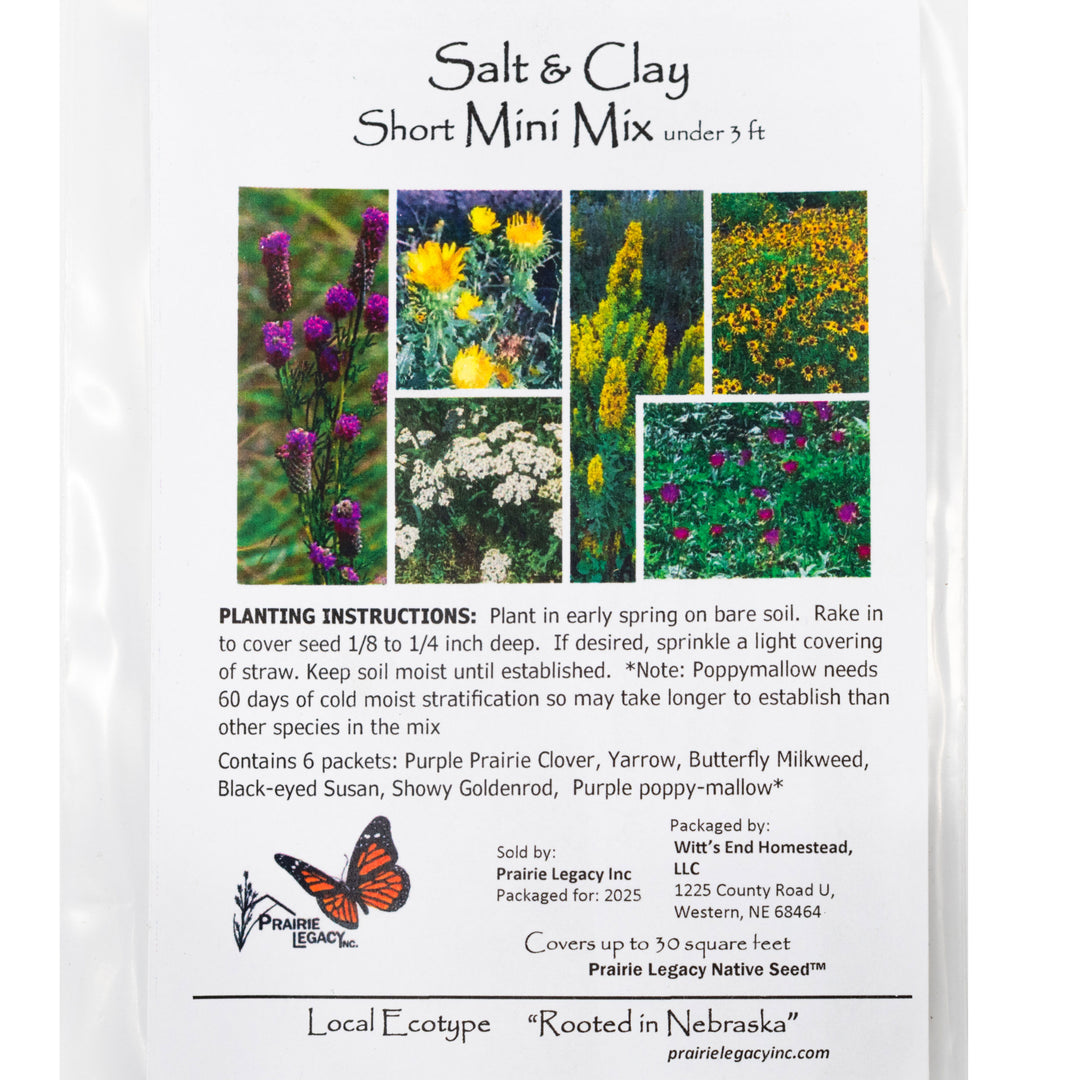 Shade, Wind, and Microclimate Tweaks