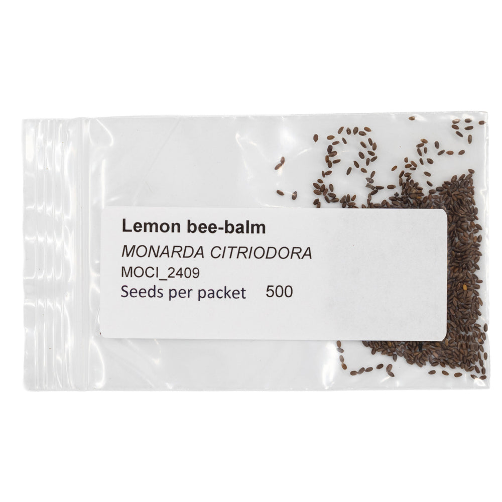 Seeds packet of Lemon bee-balm with visible seeds on a white background