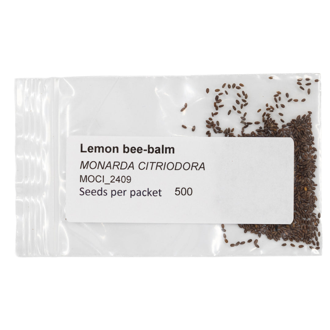 Seeds packet of Lemon bee-balm with visible seeds on a white background