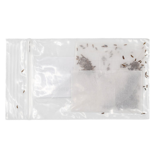 Mini Seed Mix | Bird Lovers | Tall & Short Options | Native Nebraska Seeds | Prairie Legacy Inc