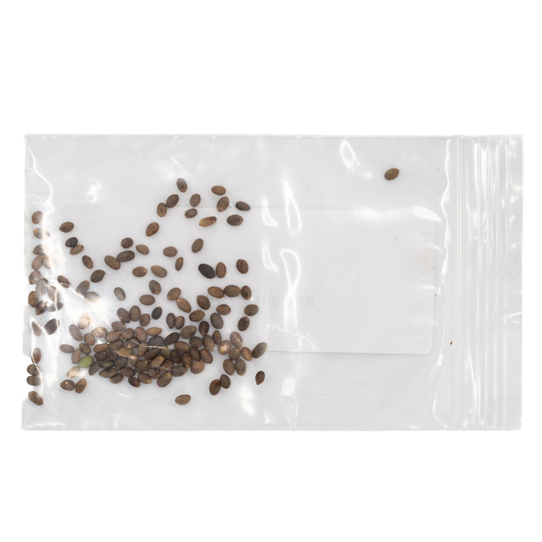 Mini Seed Mix | Bird Lovers | Tall & Short Options | Native Nebraska Seeds | Prairie Legacy Inc