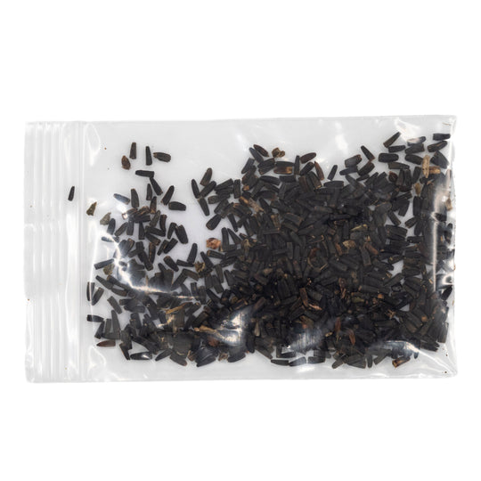 Mini Seed Mix | Bird Lovers | Tall & Short Options | Native Nebraska Seeds | Prairie Legacy Inc