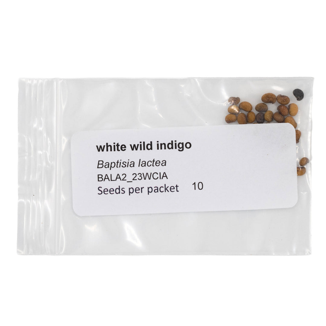 Mini Seed Mix | Bird Lovers | Tall & Short Options | Native Nebraska Seeds | Prairie Legacy Inc