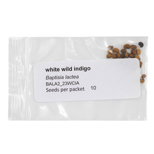 Mini Seed Mix | Bird Lovers | Tall & Short Options | Native Nebraska Seeds | Prairie Legacy Inc
