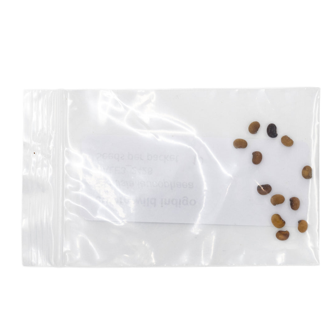 Clear plastic bag with small stones on a white background
