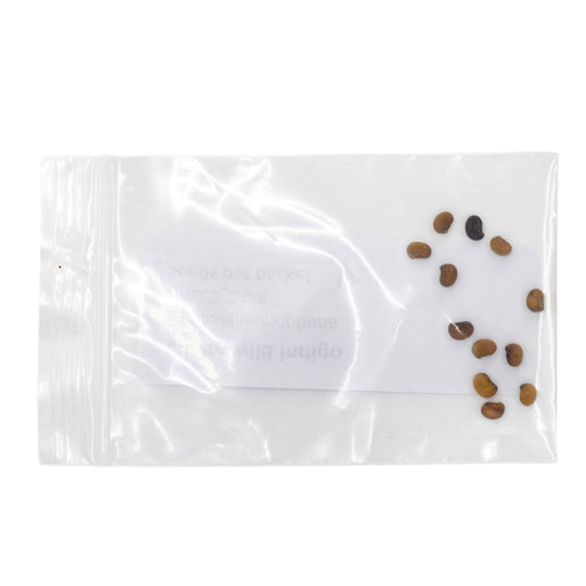 Clear plastic bag with small stones on a white background