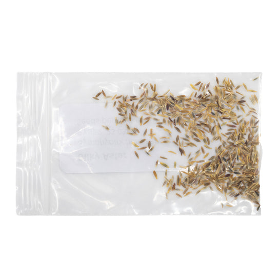 Clear plastic bag with dried herbs on a white background
