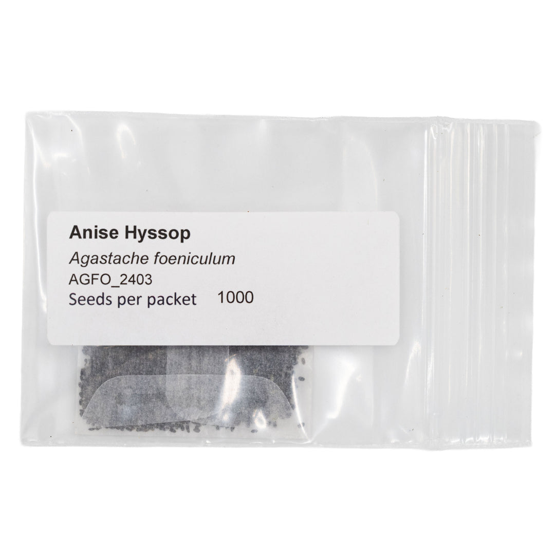 Seeds packet of Anise Hyssop with label on a white background