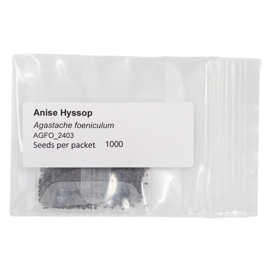 Seeds packet of Anise Hyssop with label on a white background