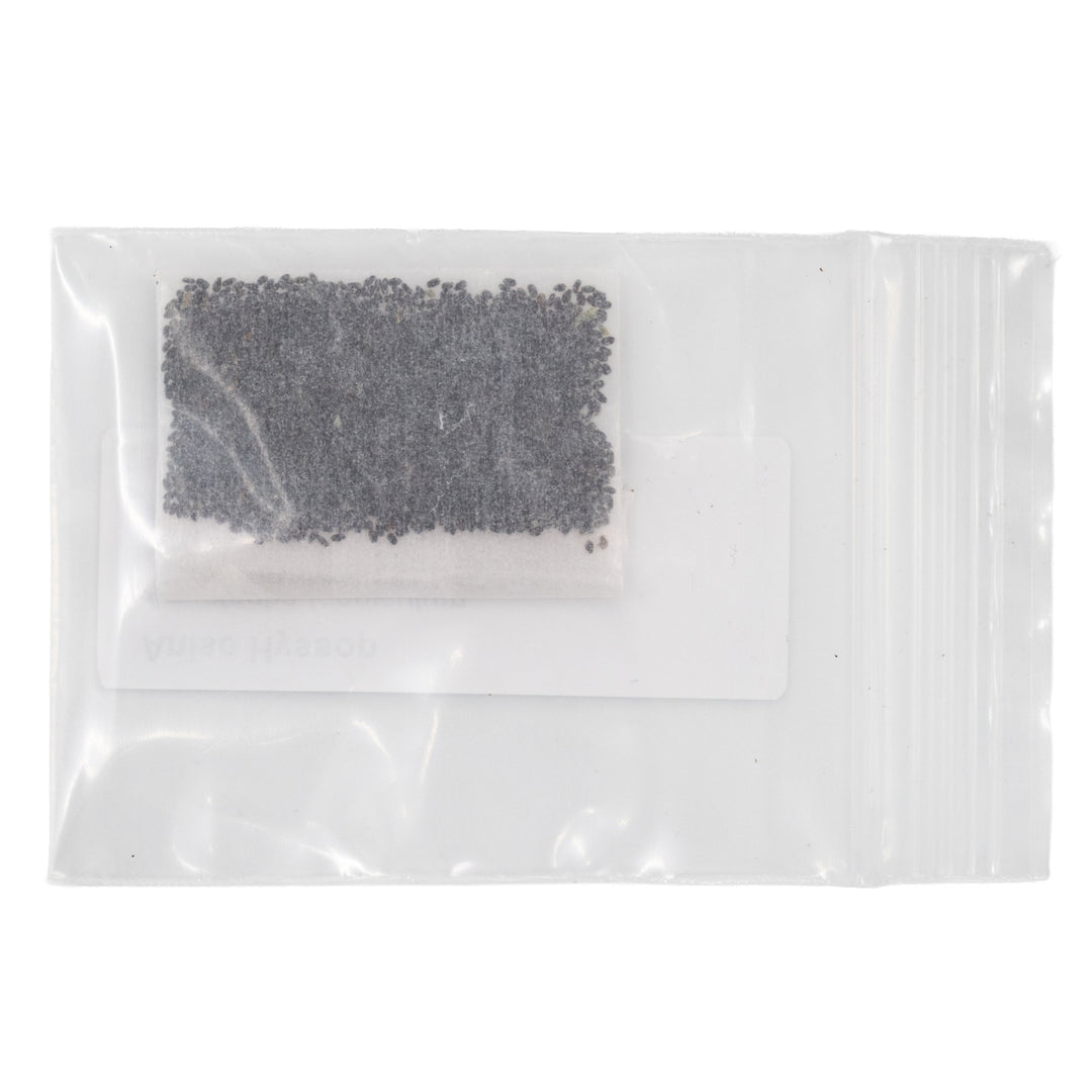 Small package of black seeds in a clear plastic bag on a white background