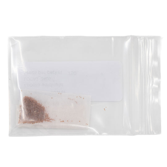 Clear plastic bag with a small amount of brown seeds on a white background