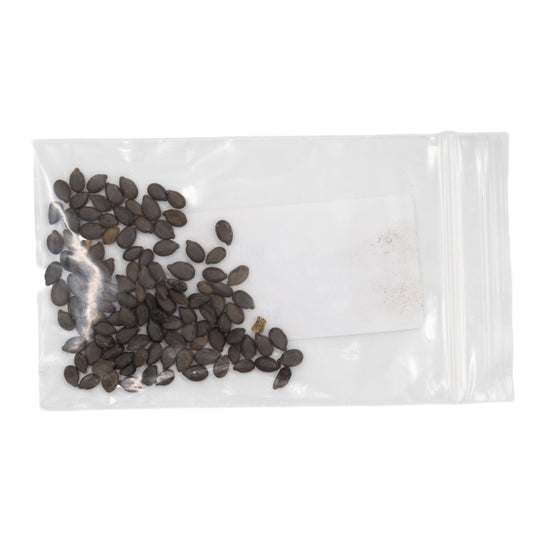 Clear plastic bag with seeds on a white background