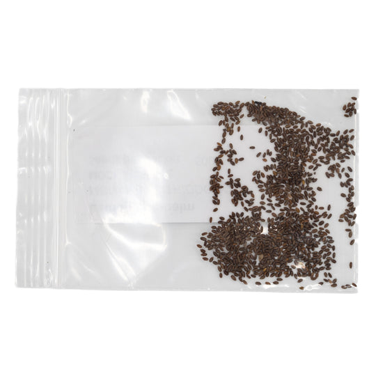 Small plastic bag with a few seeds on a white background