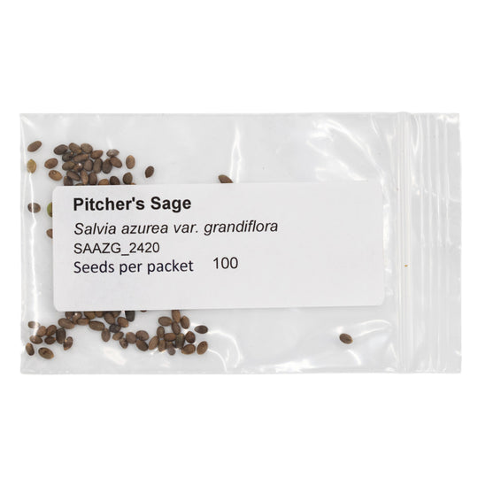 Seeds packet of Pitcher's Sage with visible seeds on a white background