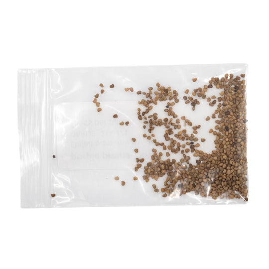 Clear plastic bag with small brown seeds on a white background