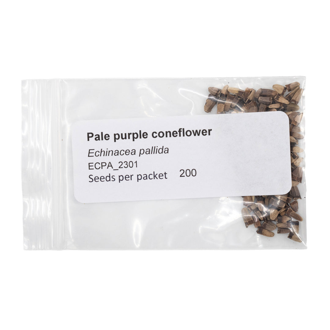 Packaged seeds of Pale purple coneflower with a label on a white background