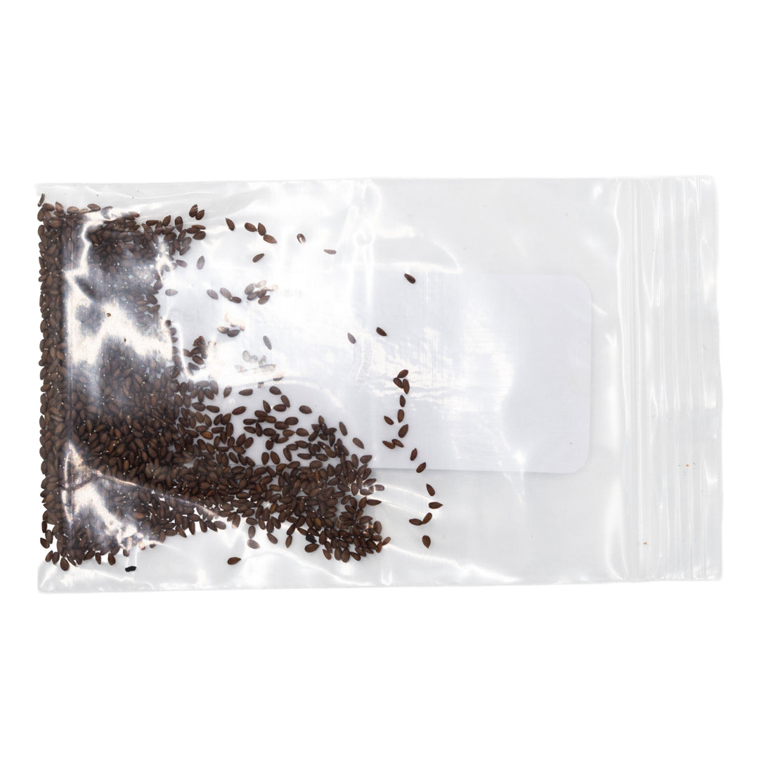 Clear plastic bag with black seeds on a white background