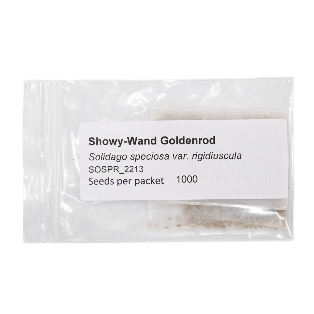 Seeds packet labeled 'Showy-Wand Goldenrod' on a white background