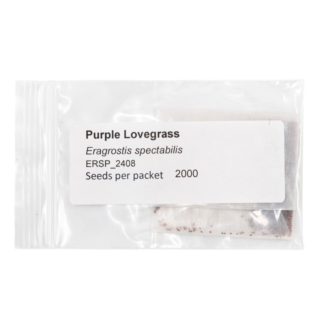 Package of Purple Lovegrass seeds with text on a white background